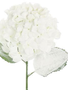 Frosted Hydrangea Spray