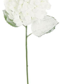 Frosted Hydrangea Spray