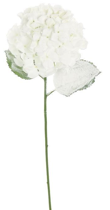 Frosted Hydrangea Spray