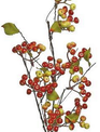 28" Hawthorn Berry Spray