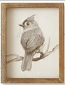 Woodland Framed Bird Print