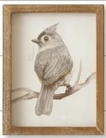 Woodland Framed Bird Print