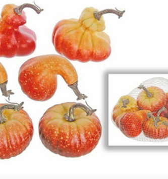 Bag of 6 Pumpkin/Gourd Mix