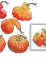 Bag of 6 Pumpkin/Gourd Mix