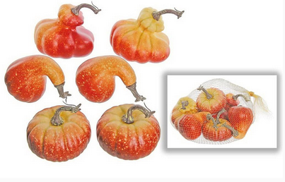 Bag of 6 Pumpkin/Gourd Mix