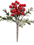 Iced Berry Pick