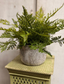 Custom Lace Fern in Textured Wildflower Vase