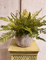 Custom Lace Fern in Textured Wildflower Vase