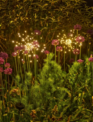 Starburst Stake Light (2-Styles)