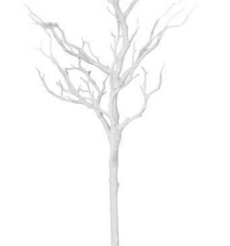 26" White Twig Branch