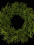 30" Norfolk Island Pine Wreath
