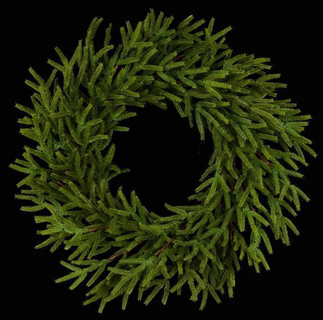 30" Norfolk Island Pine Wreath