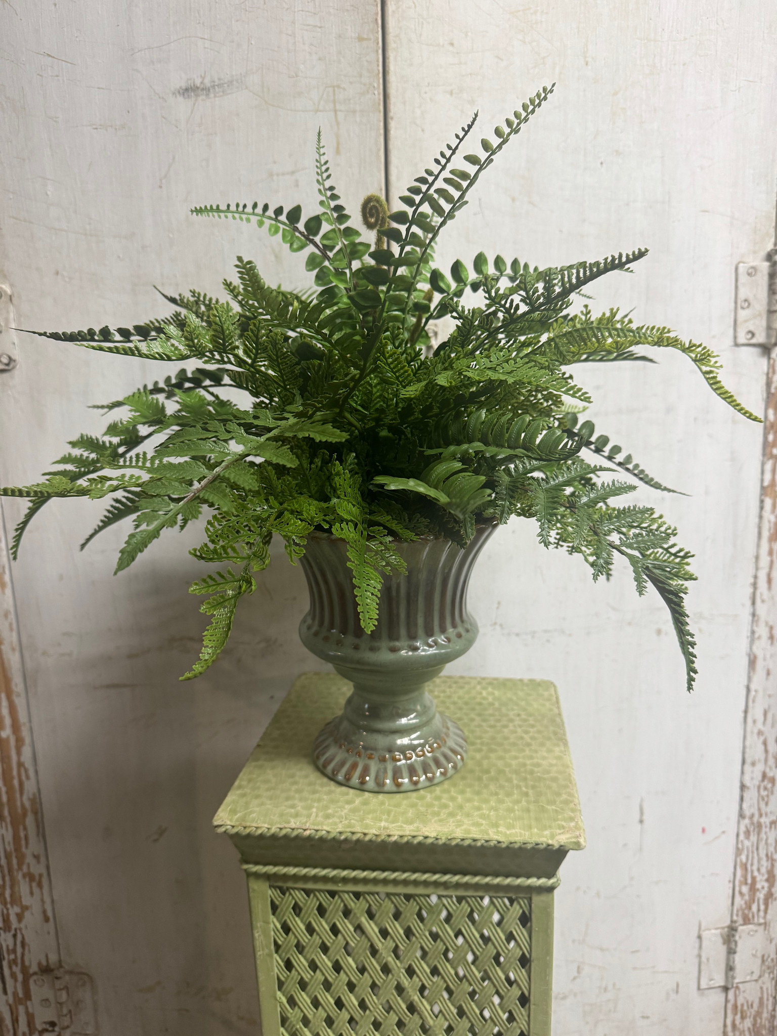 Custom Mixed Fern in Green Stoneware Container