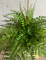Custom Mixed Fern in Green Stoneware Container