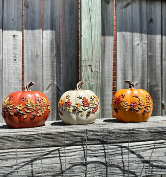 Harvest Pumpkin w/ Acorn Vine (3-Colors)