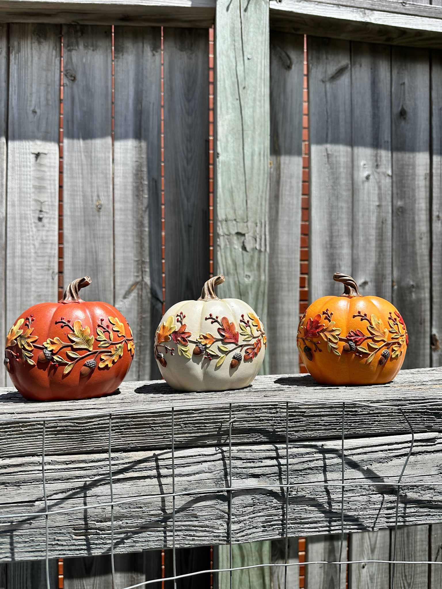 Harvest Pumpkin w/ Acorn Vine