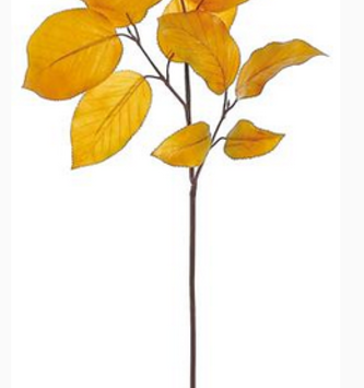 Autumn Salal Leaf