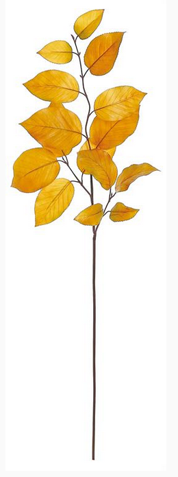 Autumn Salal Leaf