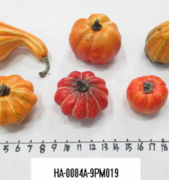 Large Pumpkin Gourd Assortment