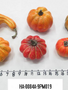 Large Pumpkin Gourd Assortment