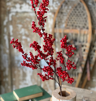 35'' Red Winter Berry Stem