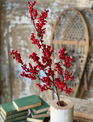 35'' Red Winter Berry Stem