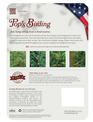 Original Hummingbird Swing