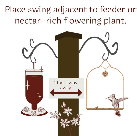 Original Hummingbird Swing