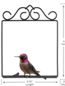 Original Hummingbird Swing