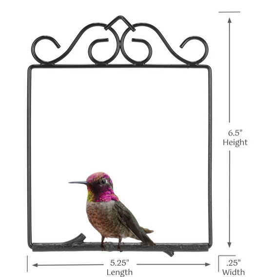 Original Hummingbird Swing