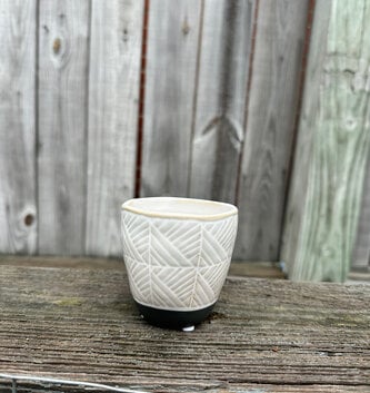 Mini Textured Pot (4-Colors)