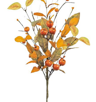 Fall Crater Berry Pick