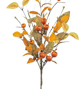 Fall Crater Berry Pick