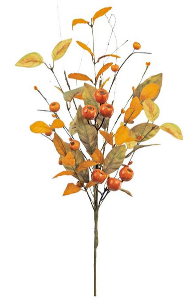 Fall Crater Berry Pick