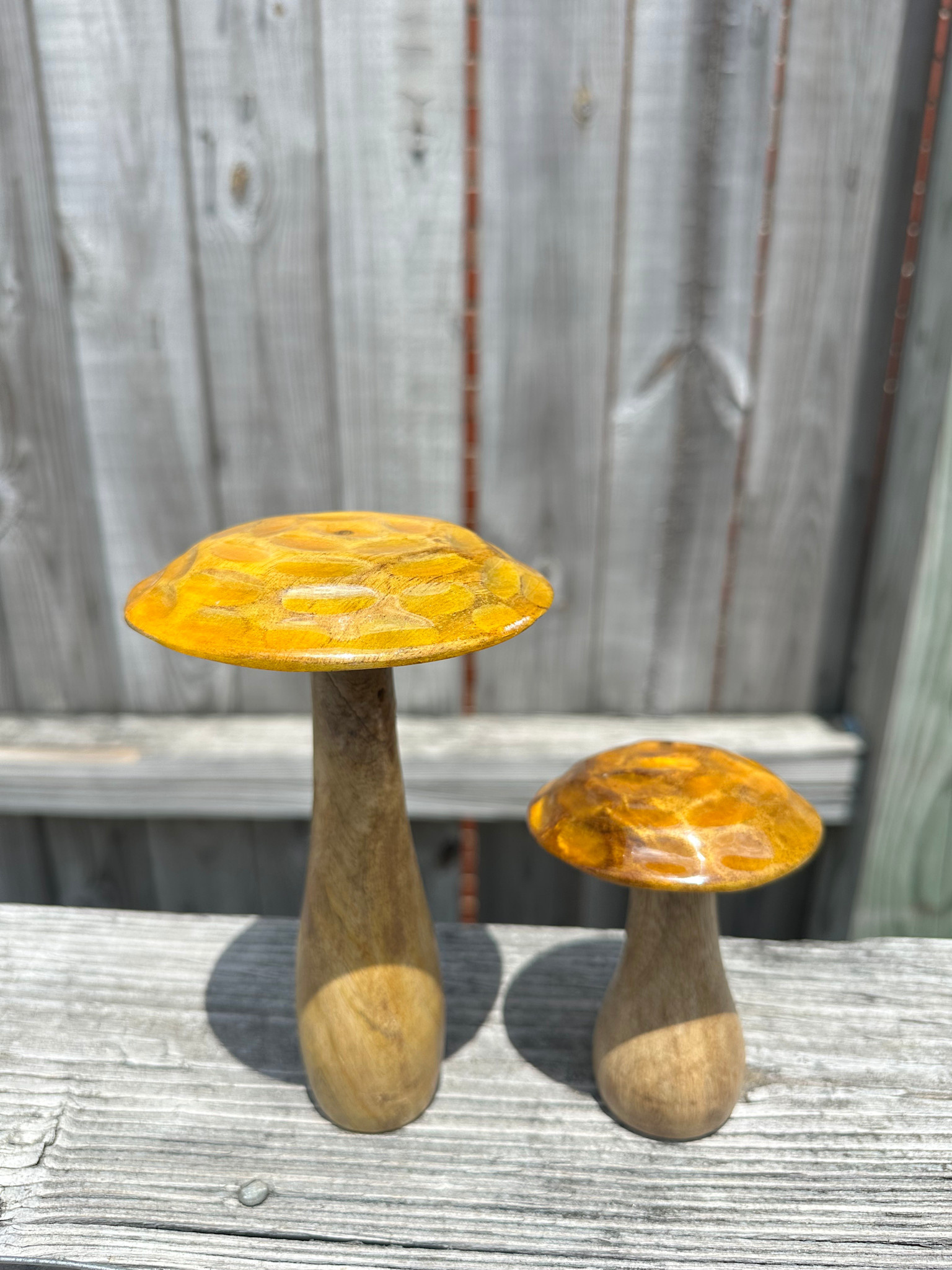 Set of 2 Carved Wooden Mushrooms