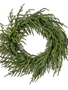 24" Just Cut Norfolk Pine Wreath