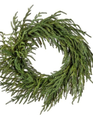 24" Just Cut Norfolk Pine Wreath