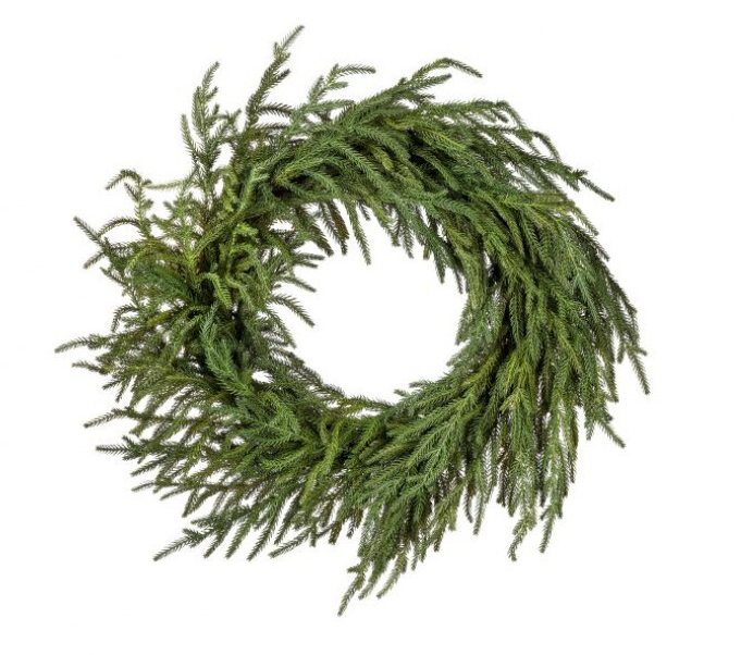 24" Just Cut Norfolk Pine Wreath