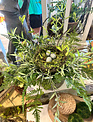 Woodland Nest Arrangement