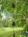 72" Antique Bronze Pinecone Rain Chain