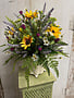 Custom Sunburst Black Eyed Susan in Scalloped Vase