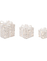 Set of 3 Shimmer Packages