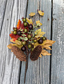 Autumn Maple Leaf Berry Pick Autumn Maple Leaf Berry Pick