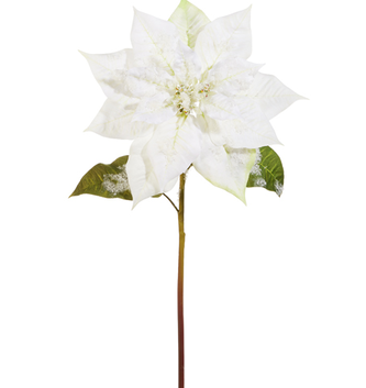 Iced White Poinsettia Stem