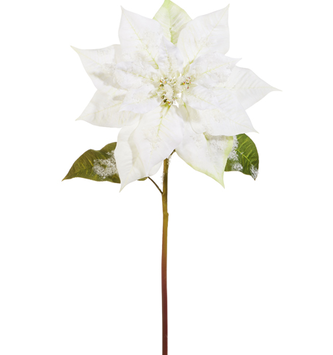 Iced White Poinsettia Stem