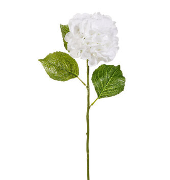 Snowy White Hydrangea Stem
