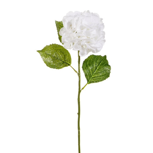Snowy White Hydrangea Stem
