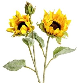 Garden Sunflower Spray
