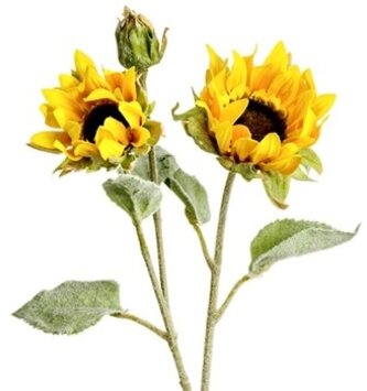 Garden Sunflower Spray