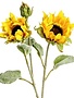 Garden Sunflower Spray